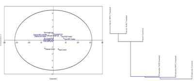 Credibility assessment of cold adaptive Pseudomonas jesenni MP1 and P. palleroniana N26 on growth, rhizosphere dynamics, nutrient status, and yield of the kidney bean cultivated in Indian Central Himalaya